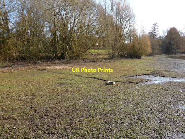 Photo 6"x4" Charlton - Charlton Lakes Drought Andover c2012 P1