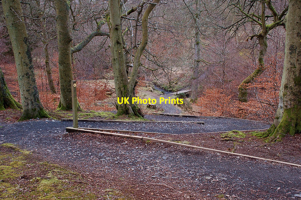 Photo 6"x4" Path to bridge over the Grain Burn Penicuik c2012