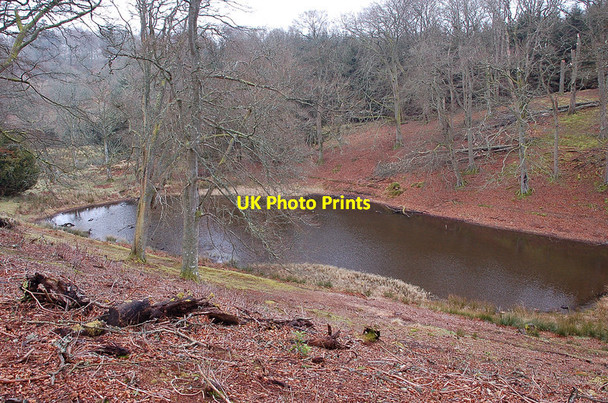 Photo 6"x4" Hurley Pond, Penicuik Estate Penicuik c2012