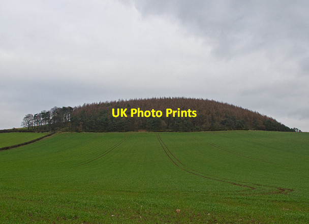 Photo 6"x4" Farmland at Myrecairnie Foodieash c2012