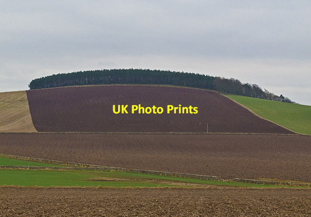Photo 6"x4" Farmland at Clubston Kedlock Feus c2012