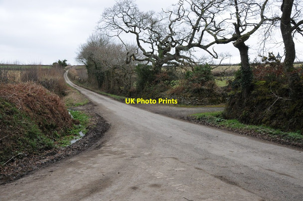 Photo 6"x4" Road to St Tudy Longstone\/SX0673 c2012