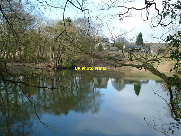 Photo 6"x4" Pond by Quarrydam Cottages Spinkhill c2012