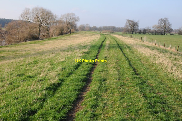 Photo 6"x4" The Severn Way Severn Stoke c2012