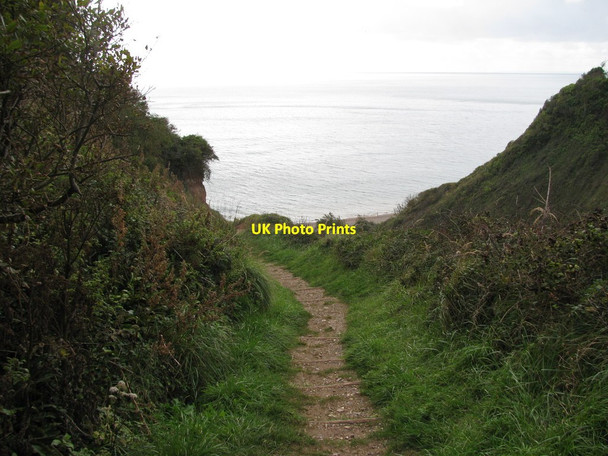 Photo 6"x4" Steps down to Weston Mouth Beach Weston\/SY1688 c2011