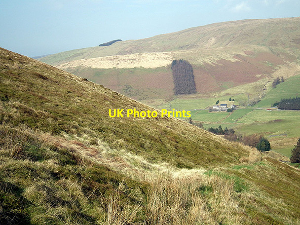 Photo 6"x4" On the path beneath Fuches Wen Ysbyty Cynfyn c2012