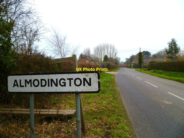 Photo 6"x4" The road through Almodington Somerley\/SZ8198 c2012