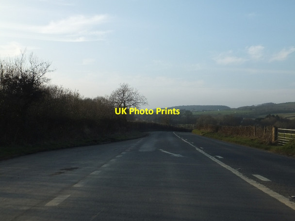 Photo 6"x4" Lay-by on Common Moors South Molton c2012