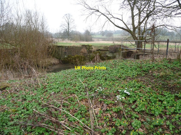 Photo 6"x4" Spring flowers at Howsham Mill Howsham\/SE7362 c2012