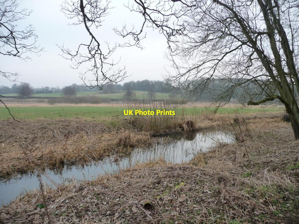 Photo 6"x4" Remains of navigable cut above Howsham Lock Howsham\/SE7362 c2012