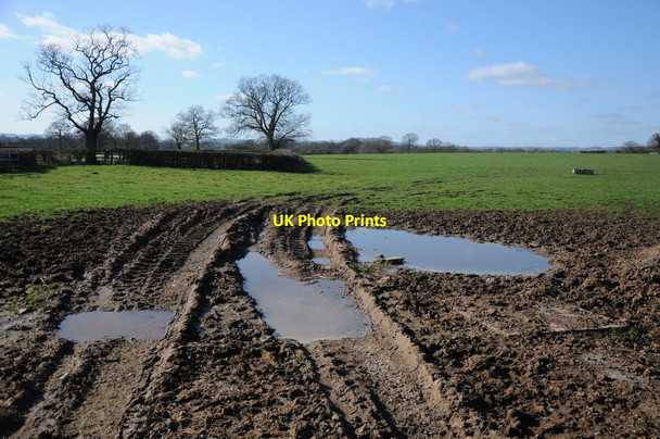 Photo 6"x4" Field at Moseley Monkwood Green c2012