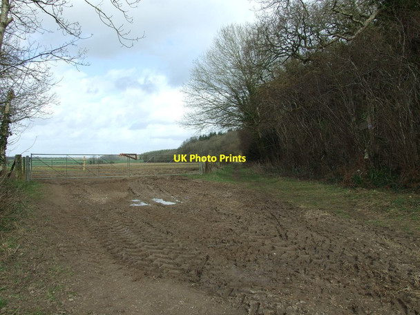 Photo 6"x4" Bridleway, Next To Hogstock Coppice Hogstock c2012