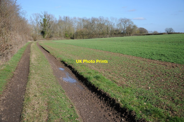 Photo 6"x4" Track and arable field Lower Broadheath c2012