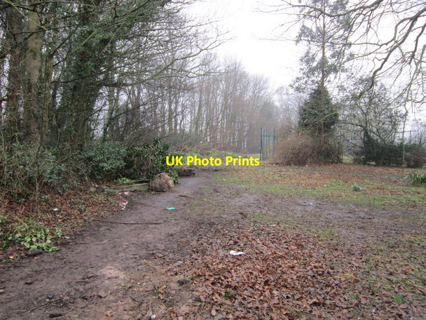 Photo 6"x4" The well used path towards the viaduct walk Tadcaster c2012