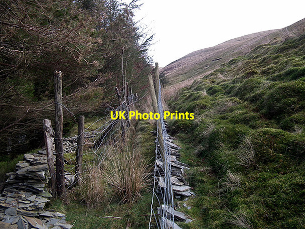 Photo 6"x4" The footpath to Fuches Wen Ysbyty Cynfyn c2012