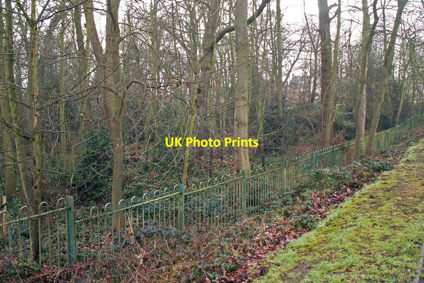 Photo 6"x4" Stocks Wood \/ Camp Wood, Bournville Bournville c2006