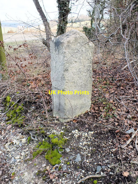 Photo 6"x4" Milestone, Witherington Down West Grimstead c2012