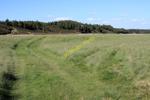 Photo 6"x4" Rough Grassland by River Dulnain Sluggan c2008