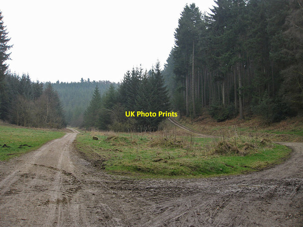 Photo 6"x4" Paths to the riggs and dales Low Dalby c2012
