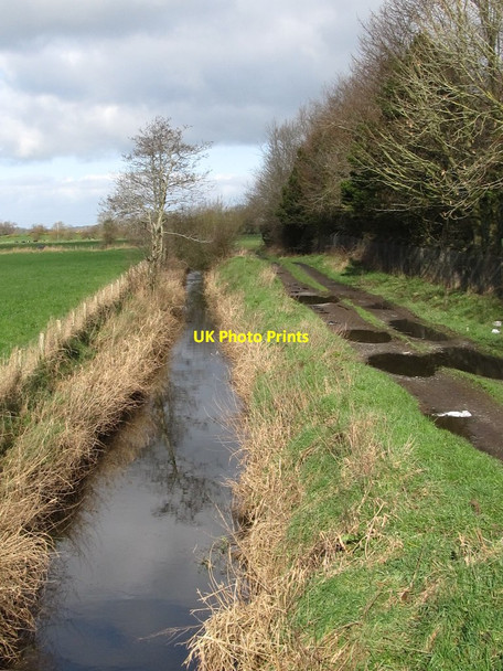 Photo 6"x4" The Derryleckagh River north of the Ballyholland Road Newry c2012