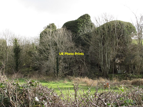 Photo 6"x4" Ivy covered mill building on the banks of the Clanrye River Mayobridge c2012