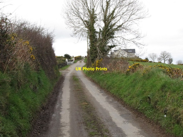 Photo 6"x4" View north along Crohill Road Mayobridge c2012