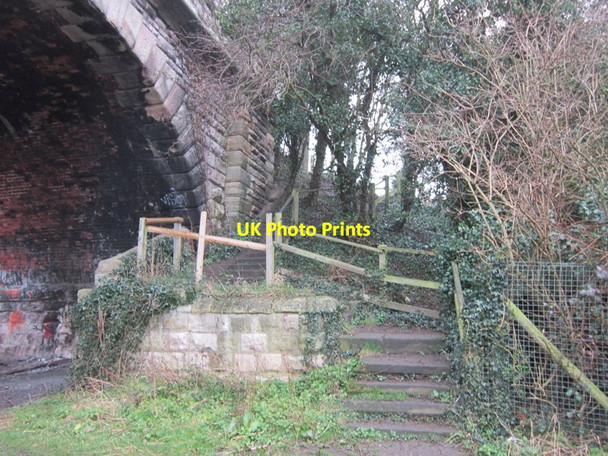 Photo 6"x4" Looking up towards the viaduct walk Tadcaster c2012