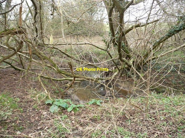 Photo 6"x4" Howl Beck passing through woodland Westow c2012