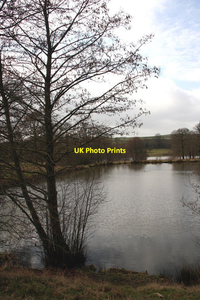 Photo 6"x4" Row Ponds in Hardwick Hall Country Park Hardstoft c2012
