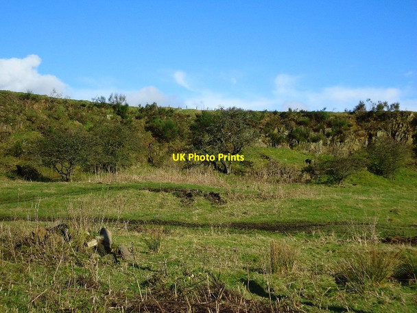 Photo 6"x4" Turdees, old quarry face Moffat Mills c2012
