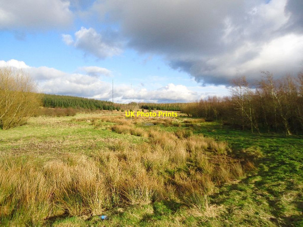 Photo 6"x4" Dunsiston Woods Moffat Mills c2012