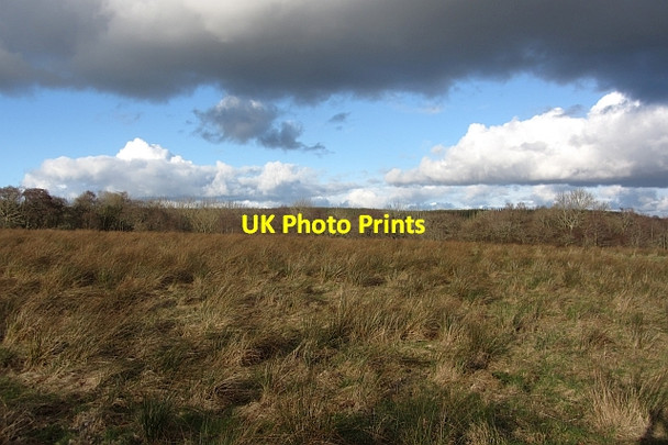 Photo 6"x4" Rashy ground Crossford\/NS8246 c2012