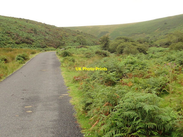 Photo 6"x4" Looking Down the Avon Valley Didworthy c2011