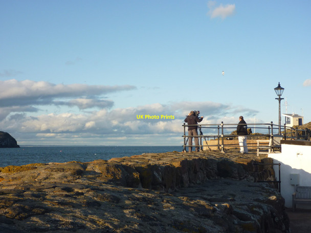 Photo 6"x4" Coastal East Lothian : Filming at North Berwick Harbour North Berwick c2012