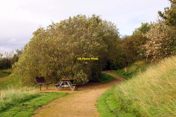 Photo 6"x4" Footpath by the Train Lingfield\/NZ3114 c2011