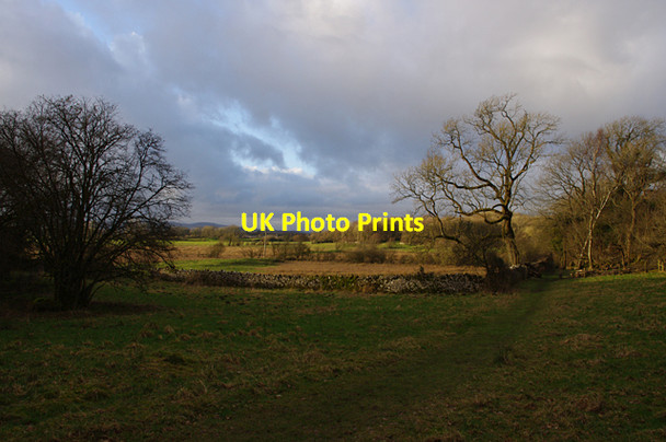 Photo 6"x4" Silverdale Moss Carr Bank c2012