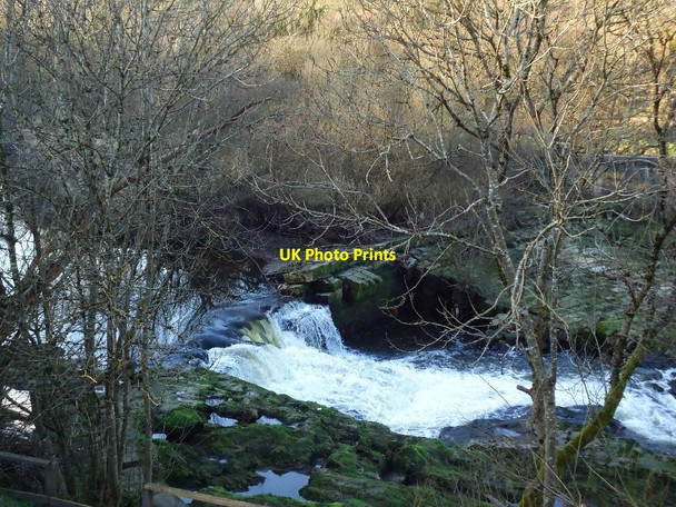 Photo 6"x4" River Carron, Larbert Weir (Ruin) [4] South Broomage c2012