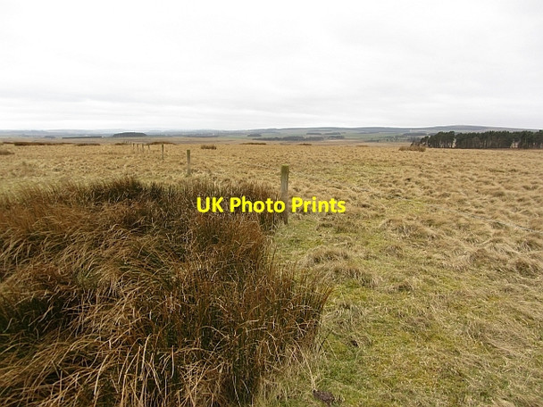 Photo 6"x4" Electric fence, White Knowe White Knowe\/NT6852 c2012