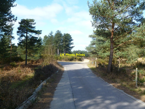 Photo 6"x4" Newton Heath, bridleway junction Bushey\/SY9883 c2012