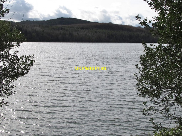 Photo 6"x4" View south across Castlewellan Lake Castlewellan c2012