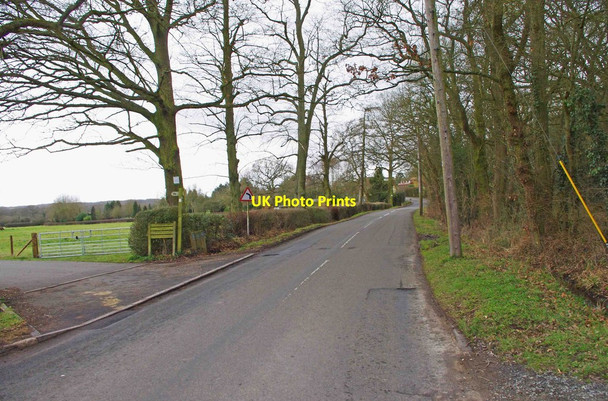 Photo 6"x4" Dordale Road, looking west, near Pepper Wood Bournheath c2012