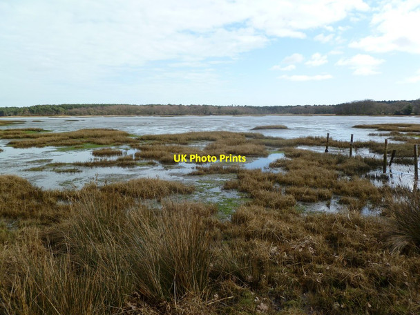 Photo 6"x4" Ower, Newton Bay Bushey\/SY9883 c2012