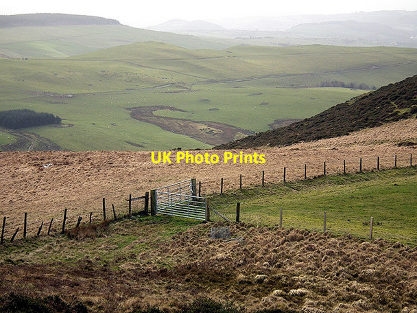 Photo 6"x4" Farm gates at Esgair Goch Cwmsymlog c2012