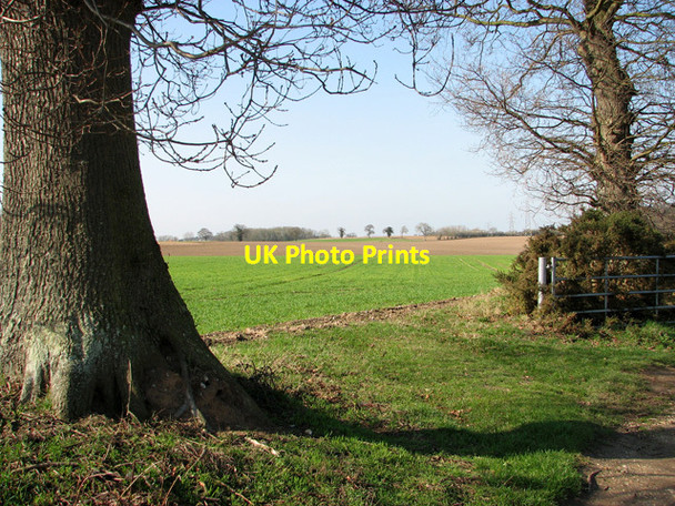 Photo 6"x4" Cultivated fields south of Sisland Carr Sisland c2012