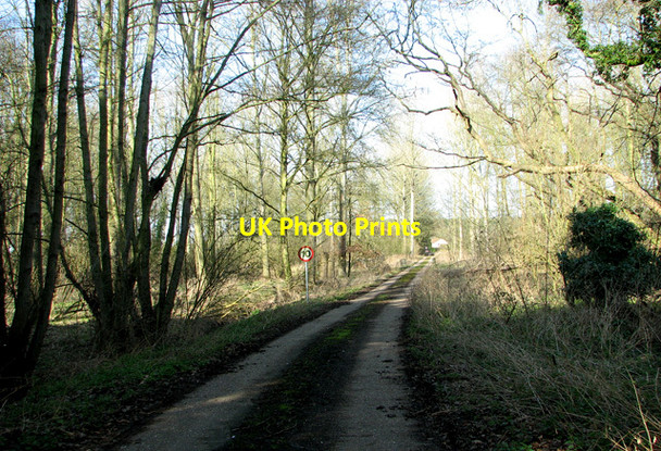 Photo 6"x4" Access road to the sewage works near Sisland Carr Sisland c2012