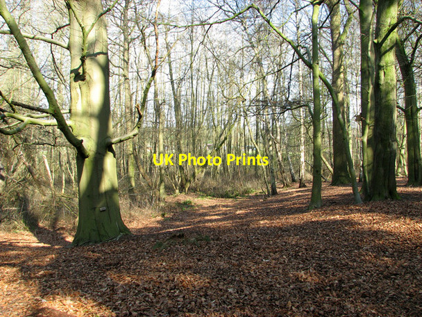 Photo 6"x4" Sisland Carr Sisland c2012