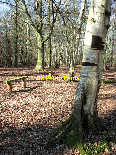 Photo 6"x4" Seats in Sisland Carr Sisland c2012