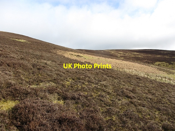 Photo 6"x4" Moorland, Orchard Rig Howford\/NT3136 c2012
