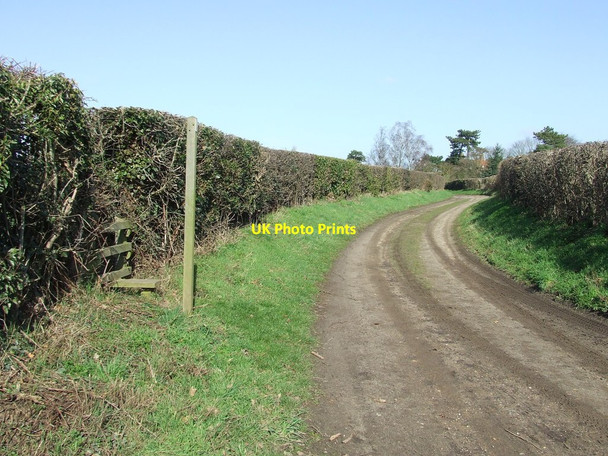 Photo 6"x4" Country Track Little Cornard c2012