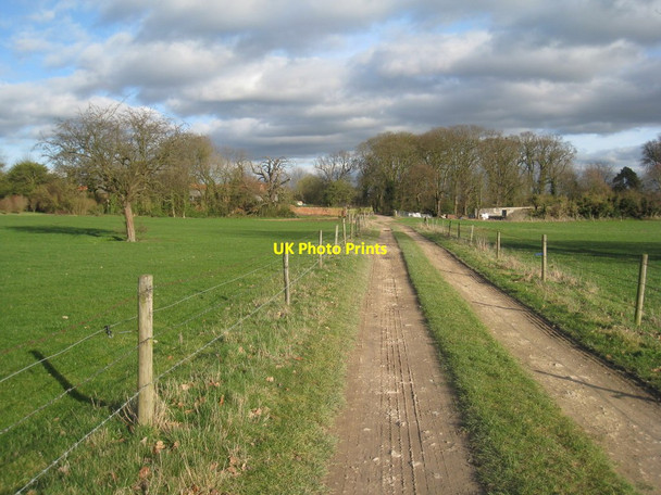Photo 6"x4" Footpath through the park Flintham c2012